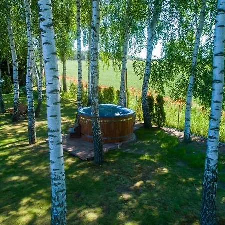 Holiday home Domki W Brzozowym Siedlisku Mazury